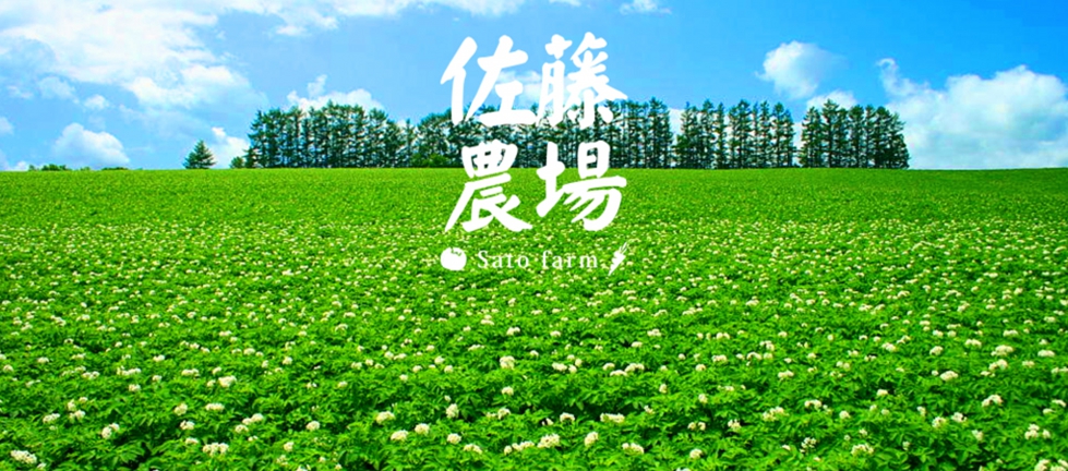 訓子府 佐藤農場 ごぼう 農家 佐藤